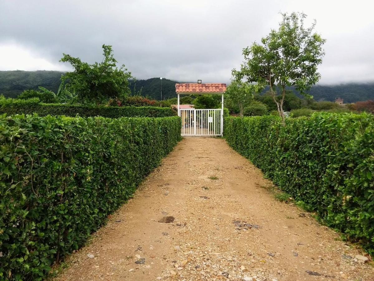 C&H Casa Campestre El Oasis Ricaurte Girardot B&B 외부 사진